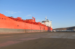 Bulk Vessel cargo management service